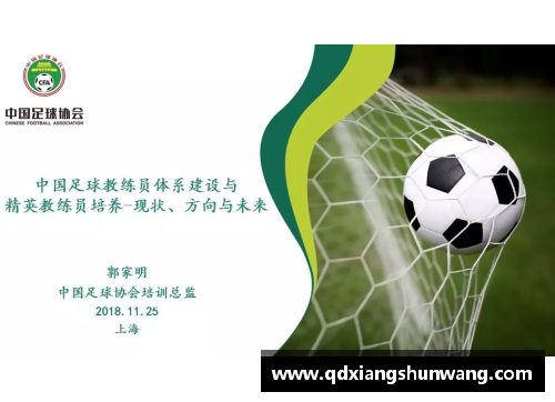 中国足球教练：现状与挑战